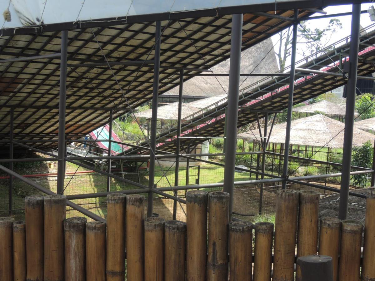 Semilir Glamping Semarang